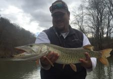 Bill Muskie 2 