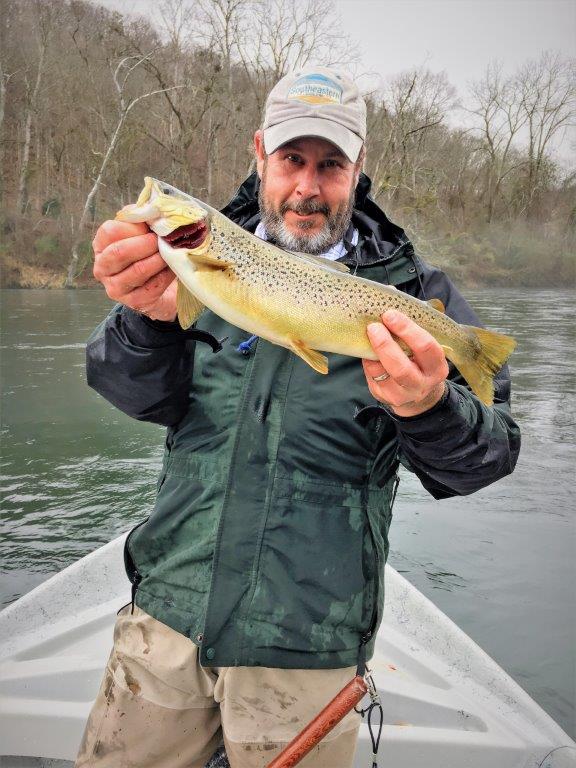Clinch brown 2 01 13 17