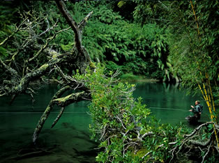 guided patagonia fly fishing