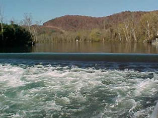 clinch river guide service