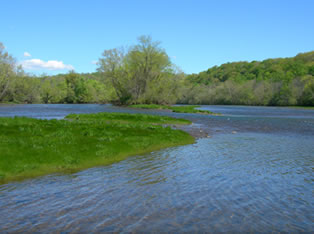 south holston river fly fishing guide service