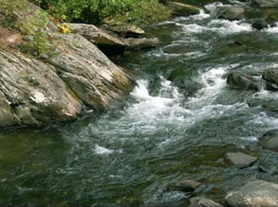 Tellico River Fly Fishing Guide Service