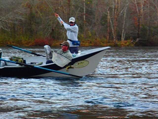 hiwassee river delayed harvest