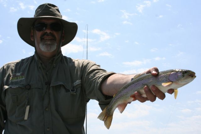 mark_and_his_holston_rainbow