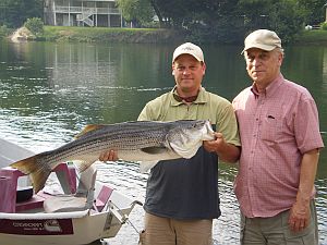 Hiwassee River Striper fishing